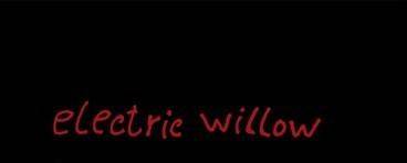 logo Electric Willow